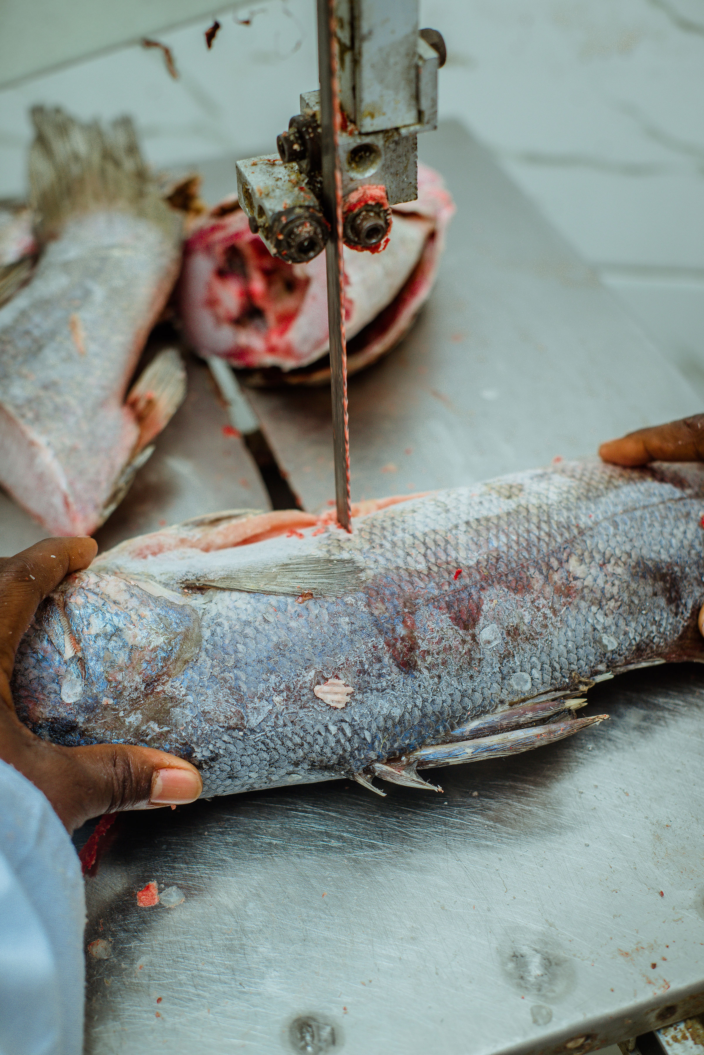 SATO WA ZIWA VICTORIA thumbnail 3