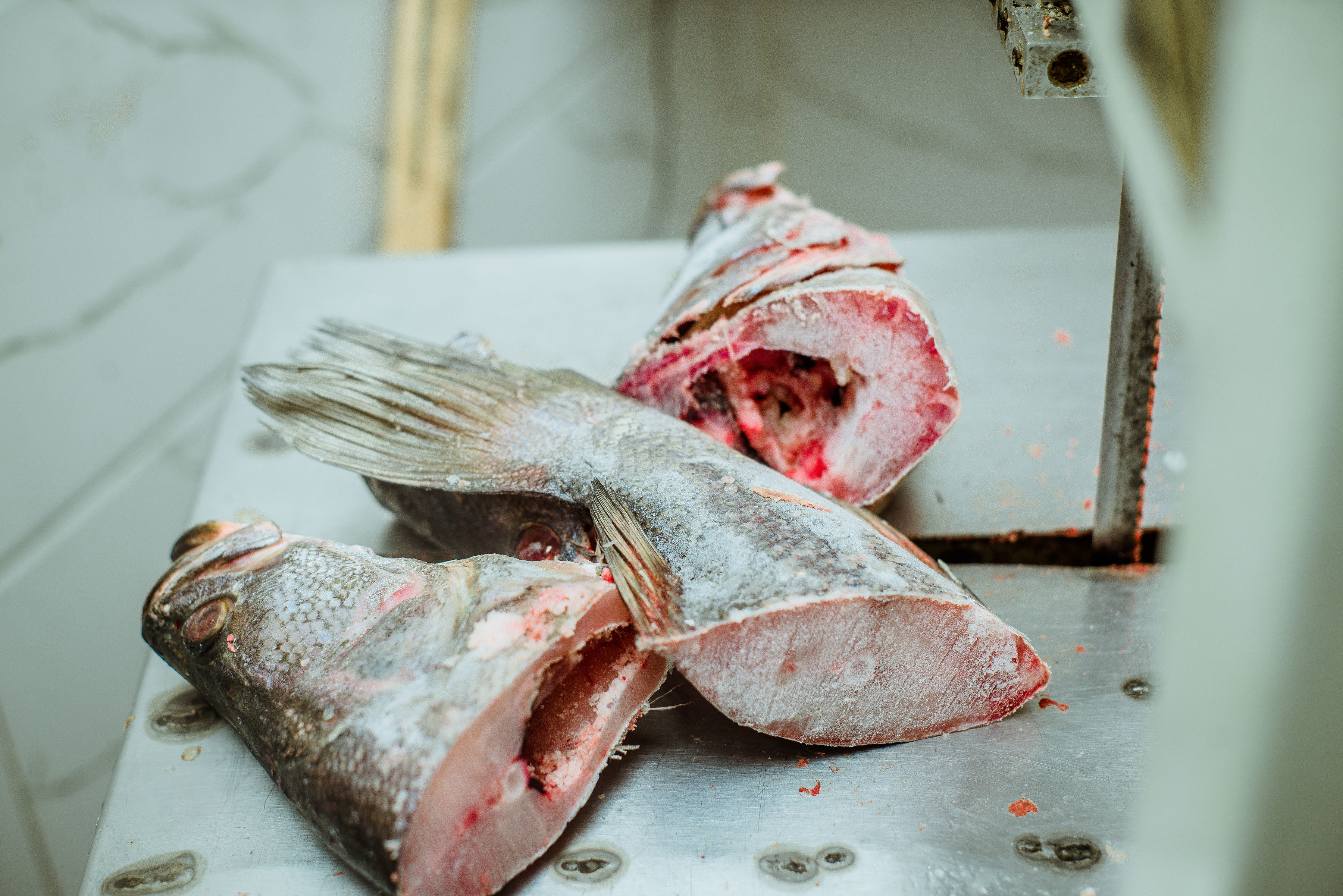 SATO WA ZIWA VICTORIA thumbnail 5